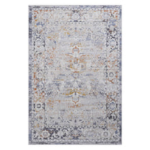 Load image into Gallery viewer, Payas - Trendy Traditional Area Rug