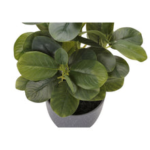 Load image into Gallery viewer, Artificial Ficus Elastica Plant (Set of 2)