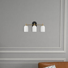 Load image into Gallery viewer, Meadows - 3 Lights Vanity Brush Bathroom Wall Light For Bathroom Over Mirror - Black / Gold / White
