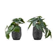 Load image into Gallery viewer, Artificial Alocasia Plant (Set of 2)