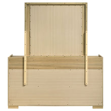 Load image into Gallery viewer, Hyland Dresser with Mirror - Ego Home Furniture