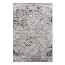 Load image into Gallery viewer, Payas - Traditional Area Rug