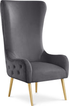 Load image into Gallery viewer, Alexander - Accent Chair