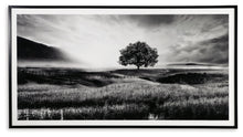 Load image into Gallery viewer, Deborland - Wall Art - Black / White