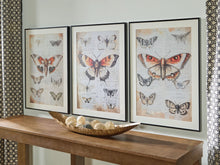 Load image into Gallery viewer, Jossletts - Wall Art Set (Set of 3) - Orange / Black / Ivory