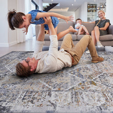 Load image into Gallery viewer, Payas - 6' X 9' Traditional Area Rug - Multi