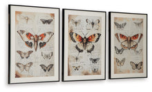 Load image into Gallery viewer, Jossletts - Wall Art Set (Set of 3) - Orange / Black / Ivory