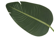 Load image into Gallery viewer, 60" Tall, Artificial Plant, Bird Of Paradise Tree, Indoor, Faux, Fake, Floor, Greenery, Potted, Decorative - Green / Black