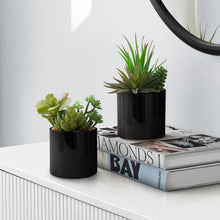 Load image into Gallery viewer, Artificial Succulent Plants (Set of 2)