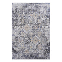 Load image into Gallery viewer, Payas - 5' X 7' Traditional Area Rug - Gray / Blue
