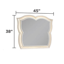 Load image into Gallery viewer, Flora - Framed Mirror With LED Lighting (Dresser Not Included) - Champagne