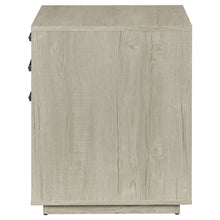 Load image into Gallery viewer, Loomis File Cabinet