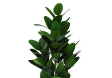 Load image into Gallery viewer, 28" Tall, Artificial Plant, Garcinia Tree, Indoor, Faux, Fake, Floor, Greenery, Potted, Real Touch, Decorative - Green / Black