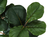 Load image into Gallery viewer, 32" Tall, Artificial Plant, Fiddle Tree, Indoor, Faux, Fake, Floor, Greenery, Potted, Real Touch, Decorative - Green / Black