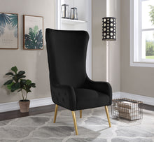 Load image into Gallery viewer, Alexander - Accent Chair