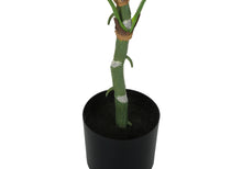 Load image into Gallery viewer, 54" Tall, Artificial Plant, Dieffenbachia Tree, Indoor, Faux, Fake, Floor, Greenery, Potted, Real Touch, Decorative - Green / Black