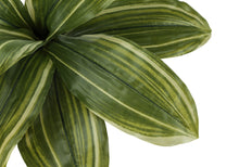Load image into Gallery viewer, 17" Tall, Artificial Plant, Dracaena, Indoor, Faux, Fake, Table, Greenery, Potted, Real Touch, Decorative - Green / Black