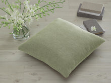Load image into Gallery viewer, Brockbert Pillow (Set of 4)