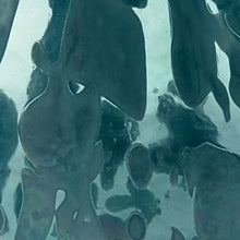 Load image into Gallery viewer, Cartshaw Vase - Ego Home Furniture