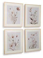 Load image into Gallery viewer, Chettings Wall Art (Set of 4) - Ego Home Furniture