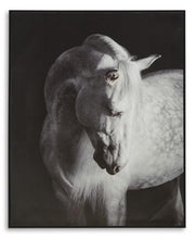 Load image into Gallery viewer, Archerwick Wall Art - Ego Home Furniture