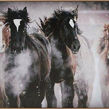 Load image into Gallery viewer, Chaseburn Wall Art