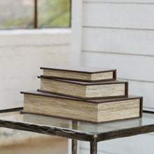 Load image into Gallery viewer, Jolina Box (Set of 3) - Ego Home Furniture