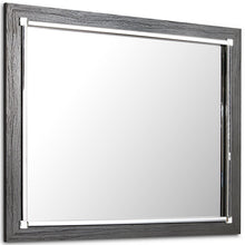 Load image into Gallery viewer, Product image