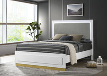 Load image into Gallery viewer, Caraway Panel Bed with LED Lighting