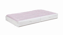 Load image into Gallery viewer, Chapman Storage Trundle White - Ego Home Furniture