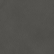 Load image into Gallery viewer, Bleckley Reclining Package - Ego Home Furniture