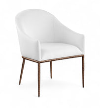 Load image into Gallery viewer, Ferro - Upholstered Dining Arm Chair With Brushed Bronze Legs