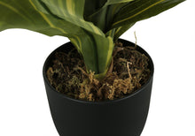 Load image into Gallery viewer, 17" Tall, Artificial Plant, Dracaena, Indoor, Faux, Fake, Table, Greenery, Potted, Real Touch, Decorative - Green / Black