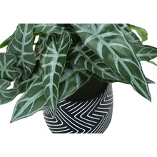 Load image into Gallery viewer, Artificial Alocasia Plant (Set of 2)