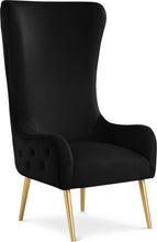 Load image into Gallery viewer, Alexander - Accent Chair