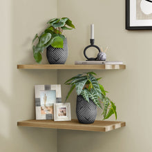 Load image into Gallery viewer, Artificial Alocasia Plant (Set of 2)