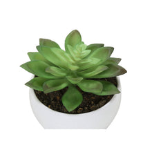 Load image into Gallery viewer, Artificial Succulent Plants (Set of 3)
