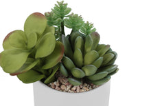 Load image into Gallery viewer, Artificial Succulent Plants (Set of 2)