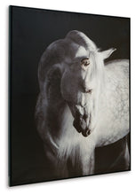 Load image into Gallery viewer, Archerwick - Wall Art - Black / White