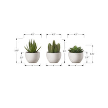 Load image into Gallery viewer, Artificial Succulent Plants (Set of 3)