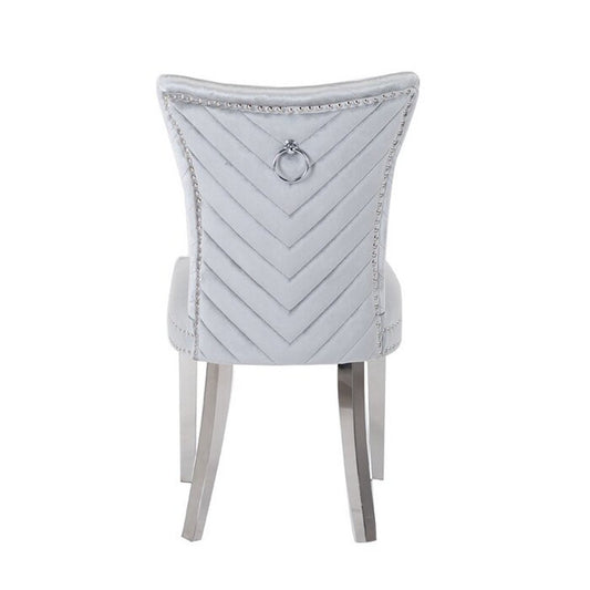 Galaxy Home Eva Stainless Steel Dining Chair (Set of 2) in Silver