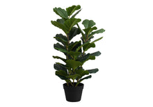Load image into Gallery viewer, 32" Tall, Artificial Plant, Fiddle Tree, Indoor, Faux, Fake, Floor, Greenery, Potted, Real Touch, Decorative - Green / Black