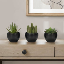 Load image into Gallery viewer, Artificial Succulent Plants (Set of 3)