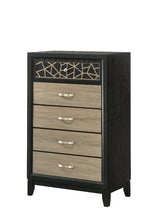 Load image into Gallery viewer, Galaxy Home Selena Chest in Black image