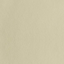 Load image into Gallery viewer, Samuel Transitional Cream Sofa - Ego Home Furniture