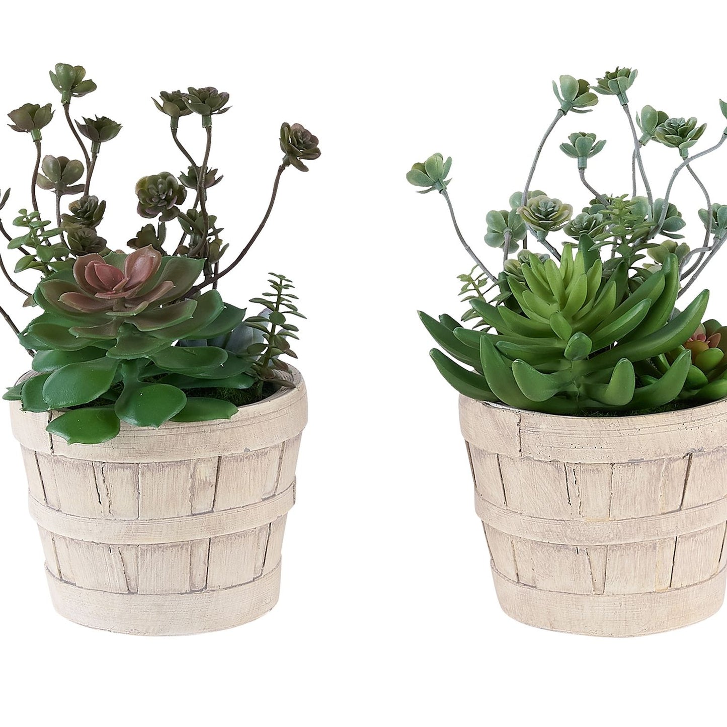 Artificial Succulent, Table Decor (Set of 2) - Green / Beige