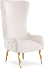 Load image into Gallery viewer, Alexander - Accent Chair
