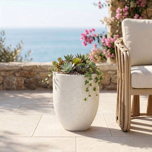 Load image into Gallery viewer, Florique - Indoor / Outdoor Concrete Planter
