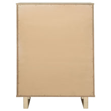 Load image into Gallery viewer, Kailani Chest of Drawers
