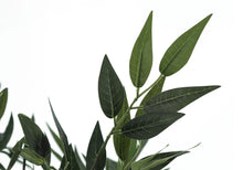 Load image into Gallery viewer, 47" Tall, Artificial Plant, Acacia Tree, Indoor, Faux, Fake, Floor, Greenery, Potted, Silk, Decorative - Green / Black
